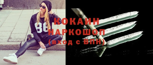spice Богородицк