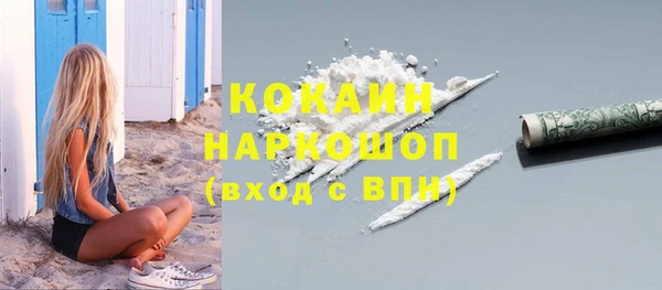 spice Богородицк