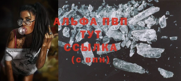 молекула духа Семилуки