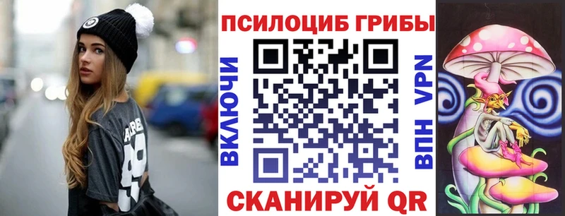 Галлюциногенные грибы прущие грибы  закладки  Светлогорск 
