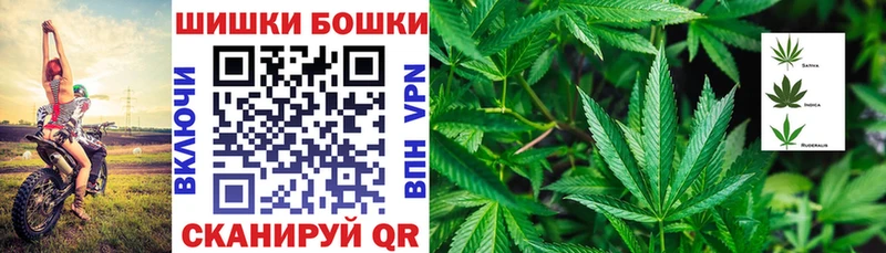 Канабис семена Светлогорск